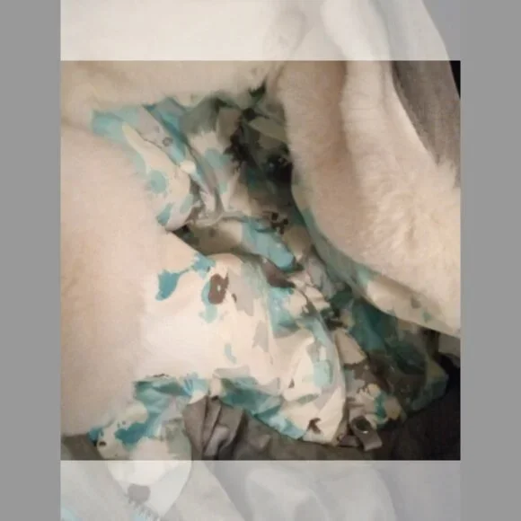 Hooded Gerry Jacket For Girls - Picture 8 of 9